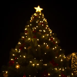 Holiday Spirit Shines Bright at Alabama A&M University's Tree Lighting Ceremony