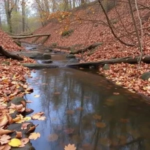 Tragic Discovery in Huntsville: Body Found in Local Creek