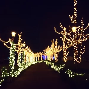 Magic Returns to Huntsville with the Spectacular Tinsel Trail Opening This Friday